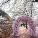 개화1리마을회관 이미지