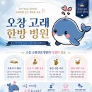 증평 군 괴산 군 한의원 추천｜내수읍 한방병원 교통사고 입원 통원 치료까지