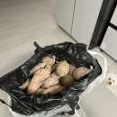 가영이네농장 이미지