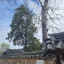 (주)진주장례협동조합 | 나주 남파고택 플리마켓 후기