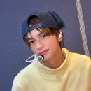투냥 이미지