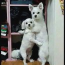 파란집 | 구월동 놀거리 - 셜록홈즈 방탈출 인천구월점 파란지붕집 테마 후기