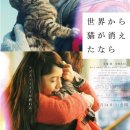 로얄동물메디컬센터w 이미지