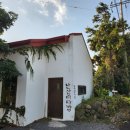 저스트렌트카 | [3박4일/제주도] 바람 많은 날에도 좋았던 제주 여행 3,4일차