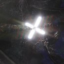 제일전자 이미지