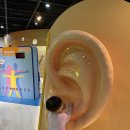 WR(인천광역시 계양구)-[서부간선로]-하-20 | 3살아이와 인천어린이과학관 관람후기 : 사전예약방법 , 주차, 관람팁, 주변 맛집까지!