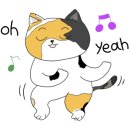 제주 달리 이미지