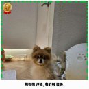 서광자동차병원 이미지