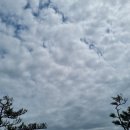 동문서답(東問西答)뜻 이미지