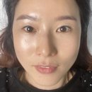 테오트리(teotree)