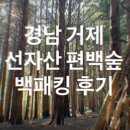 기타중급 야간 | [경상도 백패킹] 디지털 디톡스 및 차량 하부 갈릴 준비! 경남 거제 선자산 편백숲 백패킹 후기