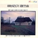 충청남도교육청남부평생교육원 이미지