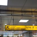대구 이월드 벚꽃 블라썸 축제 시기와 평일 야간권...후기와 놀이기구 운영/이월드 벚꽃 축제 할인꿀팁...