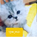 충장로미쓰멍 이미지