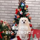 경기국제행정사사무소 이미지