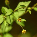 천마산10리길 이미지