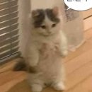 다본한의원 이미지