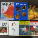 신한상역