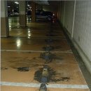 크린앤크린 이미지