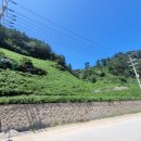 사동리 해안변 이미지