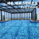 에코그린리조트 | 제주에코그린리조트 루프탑 인피니티풀 후기