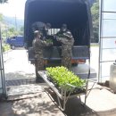 남면 행정복지센터 이미지