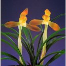 채운산방 이미지