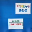 경남농장 | 경남 오디농장 체험 추천✨ 아이랑 주말 나들이 코스로 최고
