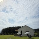 카페독채 | 익산 여행 뷰 좋은 독채 카페 하이디 후기