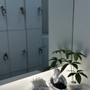 죠이헬스 이미지