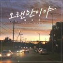 육각수 카카오 검색결과