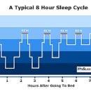 렘수면 뜻 시간 주기 계산기, 렘수면 행동장애 이미지