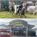 대강면 가덕마을 이미지