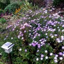 바다정원펜션 이미지