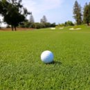 잔디골프아카데미 이미지