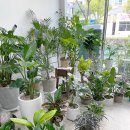 뭉쓰살롱 이미지