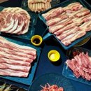 생생고기전문점 이미지