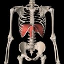 코어&밸런스트레이닝센터 이미지