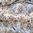 좋은축산마을 - 은평구 불광로 19 | 좋은축산마을