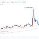 지지전자 이미지