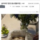 안타까운 ㅈ소 송이버섯 펨붕이 ㅠㅠ 이미지