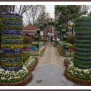 북구청광장 이미지