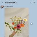 브라이트비드 이미지