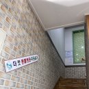 더펫샵만평점