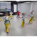 경희대 최강 MTA 태권도 이미지