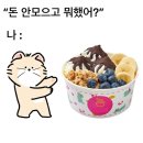 요거트아이스크림정석 - 서구 도마6길 38 | 요거트아이스크림정석