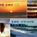 금음교차로 이미지