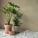 모전 부산은행(1) 이미지