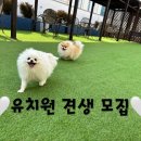 독탑라운지 이미지