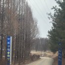 워너비 | 구리승마레슨 워너비승마클럽 어린이승마강습 후기